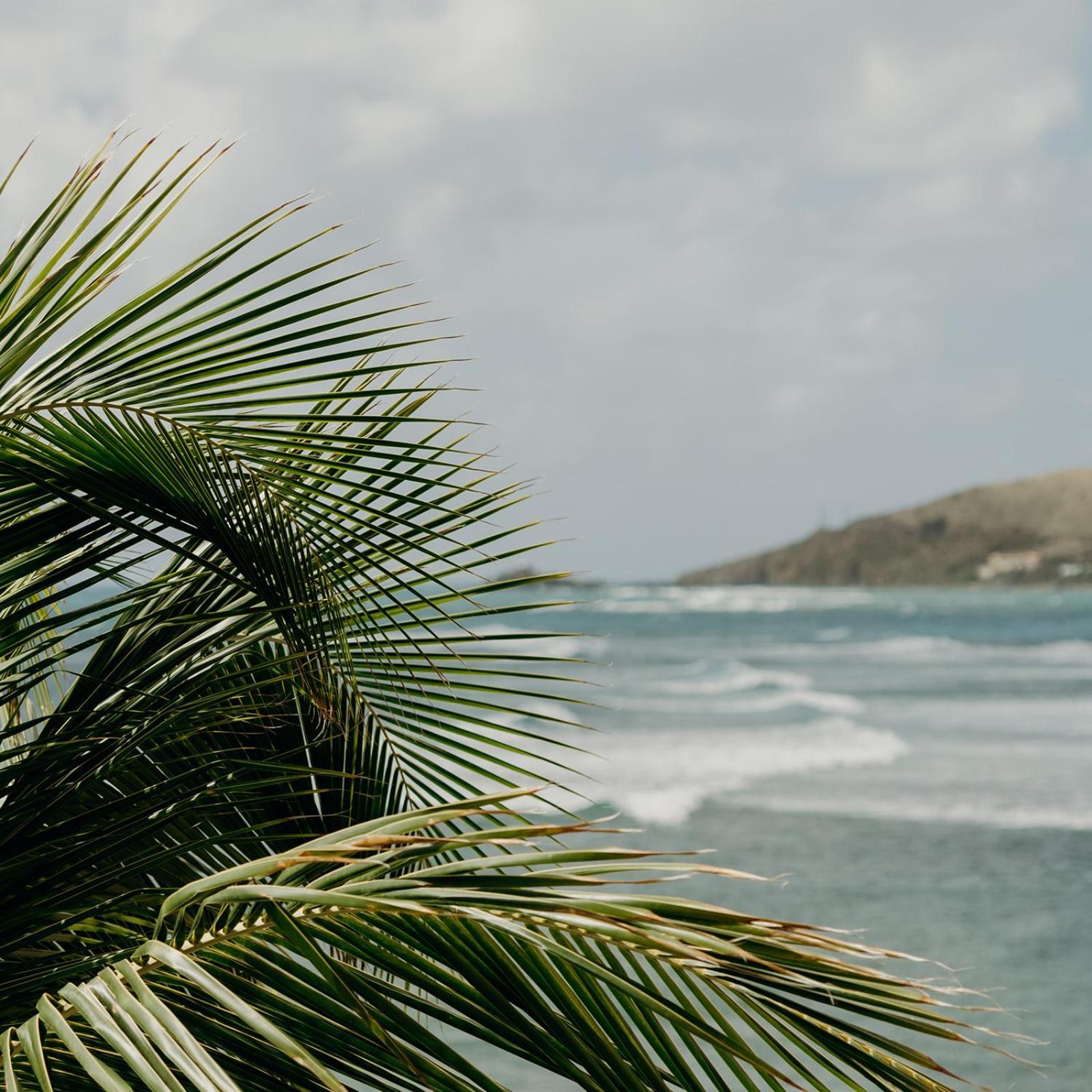 Grapetree Bay Hotel And Villas Christianted Bagian luar foto